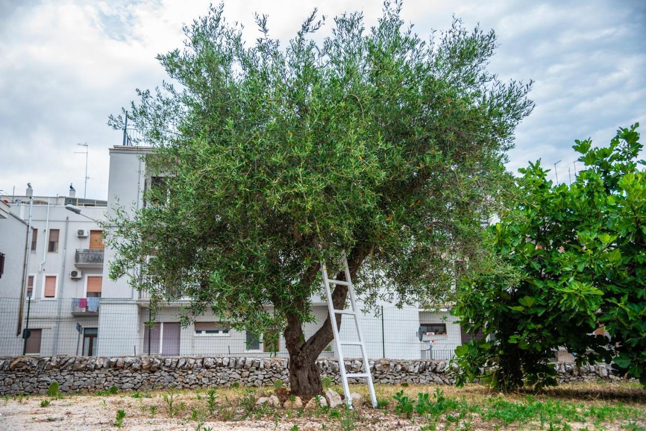 Trulli Dimora Palmisano Locorotondo Exterior photo
